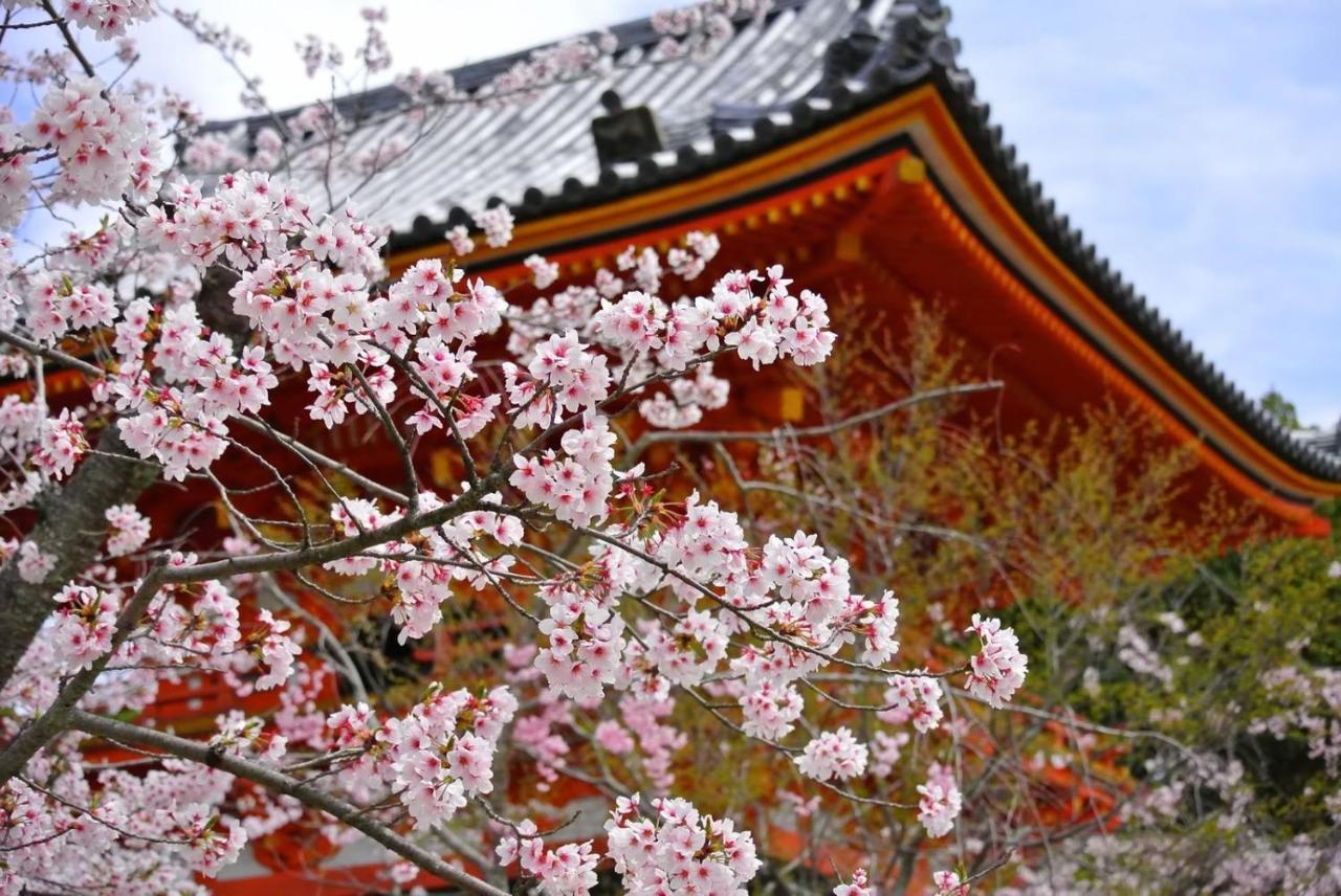 Stay Sakura Kyoto Tambaguchi Exterior photo